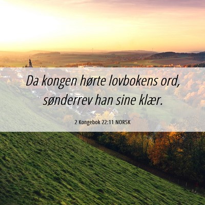 Picture 06 - 2 Kongebok 22:11 NORSK - Da kongen hørte lovbokens ord, sønderrev han - Bible Verse Picture