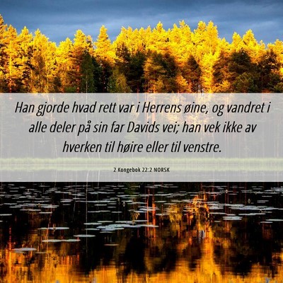 Picture 06 - 2 Kongebok 22:2 NORSK - Han gjorde hvad rett var i Herrens øine, og - Bible Verse Picture