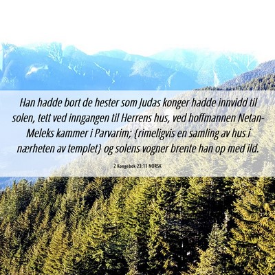 Picture 06 - 2 Kongebok 23:11 NORSK - Han hadde bort de hester som Judas konger hadde - Bible Verse Picture