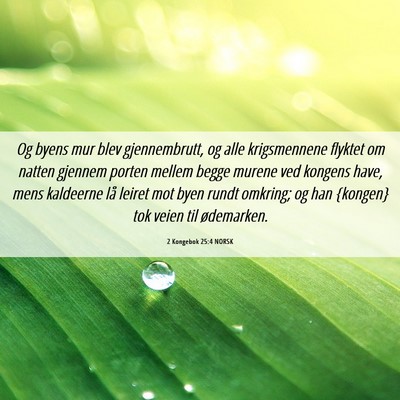 Picture 06 - 2 Kongebok 25:4 NORSK - Og byens mur blev gjennembrutt, og alle - Bible Verse Picture