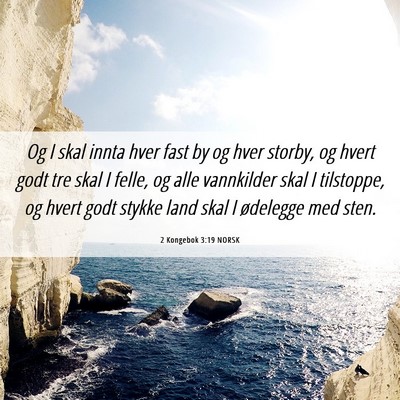 Picture 06 - 2 Kongebok 3:19 NORSK - Og I skal innta hver fast by og hver storby, og - Bible Verse Picture