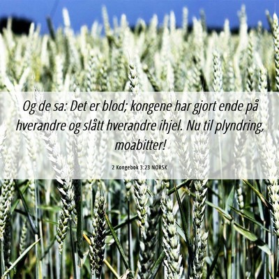 Picture 06 - 2 Kongebok 3:23 NORSK - Og de sa: Det er blod; kongene har gjort ende på - Bible Verse Picture