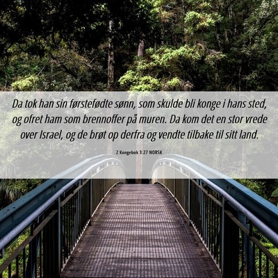 Picture 06 - 2 Kongebok 3:27 NORSK - Da tok han sin førstefødte sønn, som skulde - Bible Verse Picture