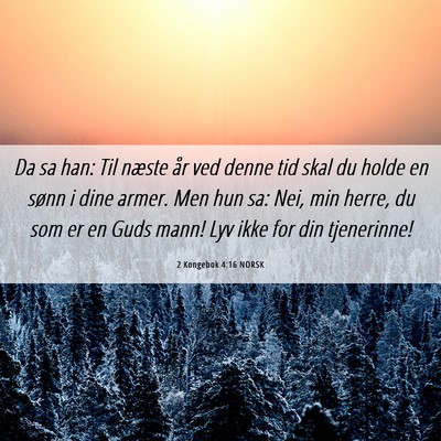 Picture 06 - 2 Kongebok 4:16 NORSK - Da sa han: Til næste år ved denne tid skal du - Bible Verse Picture