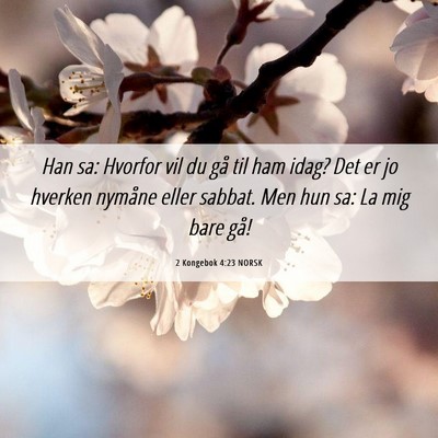 Picture 06 - 2 Kongebok 4:23 NORSK - Han sa: Hvorfor vil du gå til ham idag? Det er - Bible Verse Picture