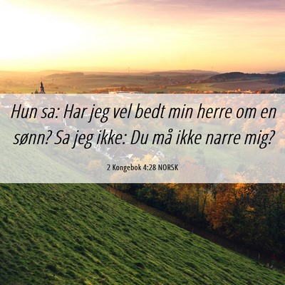 Picture 06 - 2 Kongebok 4:28 NORSK - Hun sa: Har jeg vel bedt min herre om en sønn? - Bible Verse Picture
