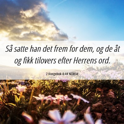 Picture 06 - 2 Kongebok 4:44 NORSK - Så satte han det frem for dem, og de åt og fikk - Bible Verse Picture