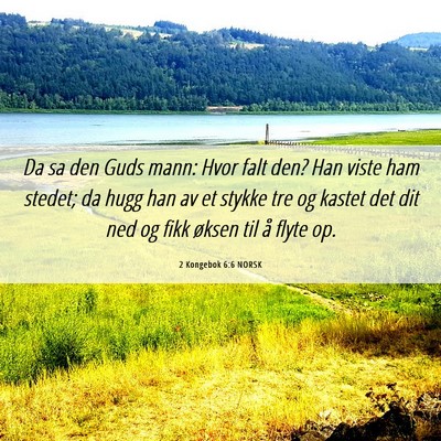 Picture 06 - 2 Kongebok 6:6 NORSK - Da sa den Guds mann: Hvor falt den? Han viste ham - Bible Verse Picture