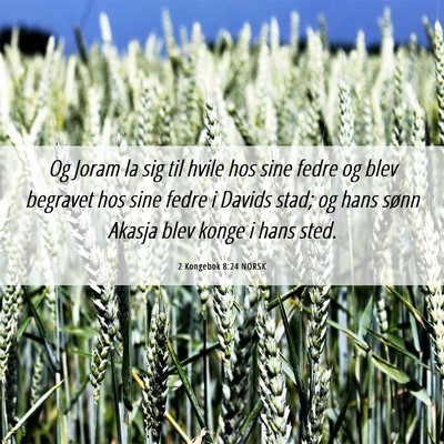 Picture 06 - 2 Kongebok 8:24 NORSK - Og Joram la sig til hvile hos sine fedre og blev - Bible Verse Picture