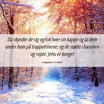 Picture 06 - 2 Kongebok 9:13 NORSK - Da skyndte de sig og tok hver sin kappe og la dem - Bible Verse Picture