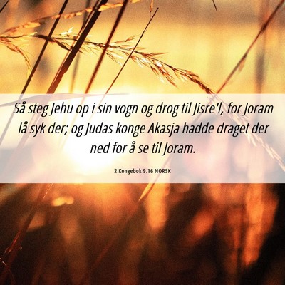 Picture 06 - 2 Kongebok 9:16 NORSK - Så steg Jehu op i sin vogn og drog til Jisre'l, - Bible Verse Picture