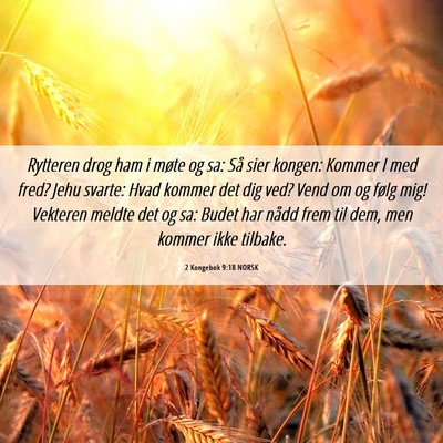 Picture 06 - 2 Kongebok 9:18 NORSK - Rytteren drog ham i møte og sa: Så sier kongen: - Bible Verse Picture