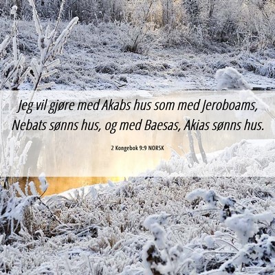 Picture 06 - 2 Kongebok 9:9 NORSK - Jeg vil gjøre med Akabs hus som med Jeroboams, - Bible Verse Picture
