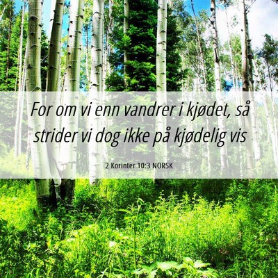 Picture 06 - 2 Korinter 10:3 NORSK - For om vi enn vandrer i kjødet, så strider vi - Bible Verse Picture