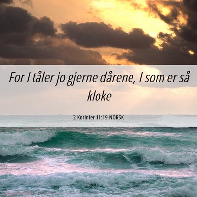 Picture 06 - 2 Korinter 11:19 NORSK - For I tåler jo gjerne dårene, I som er så - Bible Verse Picture