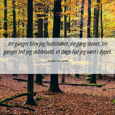 Picture 06 - 2 Korinter 11:25 NORSK - tre ganger blev jeg hudstrøket, én gang stenet, - Bible Verse Picture
