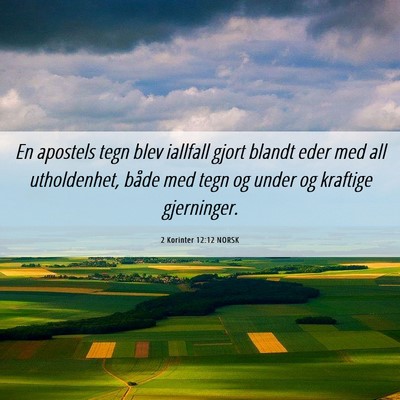 Picture 06 - 2 Korinter 12:12 NORSK - En apostels tegn blev iallfall gjort blandt eder - Bible Verse Picture