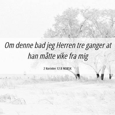 Picture 06 - 2 Korinter 12:8 NORSK - Om denne bad jeg Herren tre ganger at han måtte - Bible Verse Picture