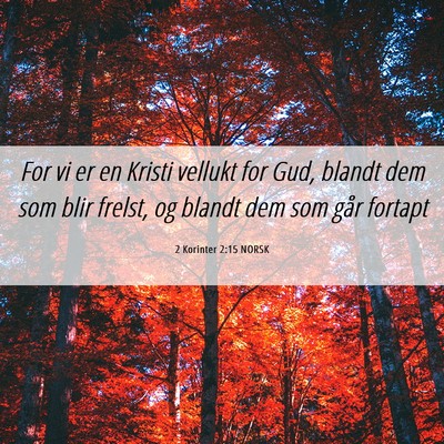 Picture 06 - 2 Korinter 2:15 NORSK - For vi er en Kristi vellukt for Gud, blandt dem - Bible Verse Picture