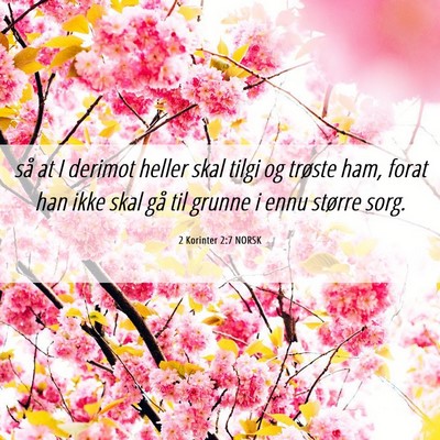 Picture 06 - 2 Korinter 2:7 NORSK - så at I derimot heller skal tilgi og trøste - Bible Verse Picture
