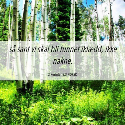 Picture 06 - 2 Korinter 5:3 NORSK - så sant vi skal bli funnet iklædd, ikke - Bible Verse Picture