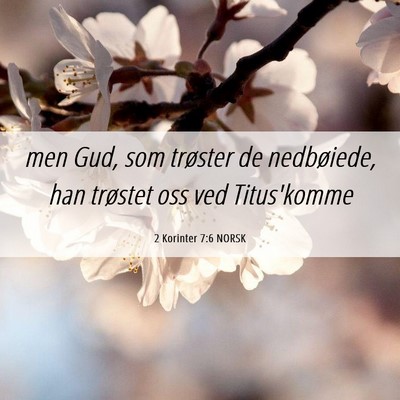 Picture 06 - 2 Korinter 7:6 NORSK - men Gud, som trøster de nedbøiede, han trøstet - Bible Verse Picture
