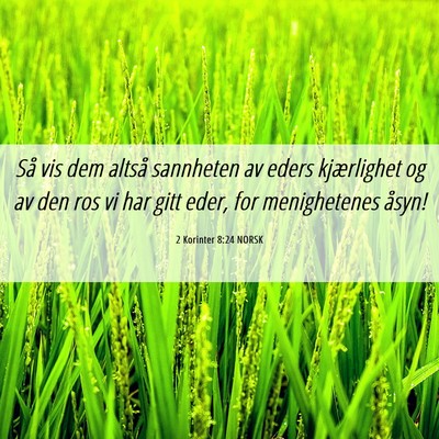 Picture 06 - 2 Korinter 8:24 NORSK - Så vis dem altså sannheten av eders kjærlighet - Bible Verse Picture