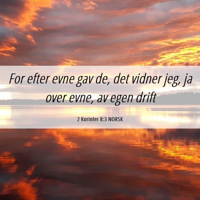 Picture 06 - 2 Korinter 8:3 NORSK - For efter evne gav de, det vidner jeg, ja over - Bible Verse Picture