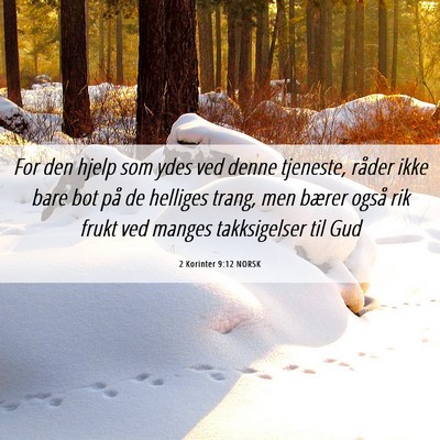 Picture 06 - 2 Korinter 9:12 NORSK - For den hjelp som ydes ved denne tjeneste, råder - Bible Verse Picture