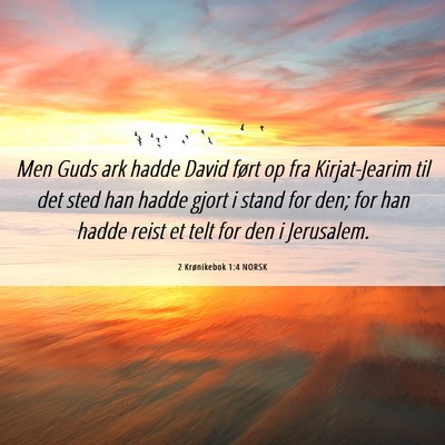 Picture 06 - 2 Krønikebok 1:4 NORSK - Men Guds ark hadde David ført op fra - Bible Verse Picture