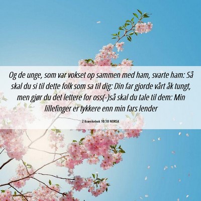 Picture 06 - 2 Krønikebok 10:10 NORSK - Og de unge, som var vokset op sammen med ham, - Bible Verse Picture