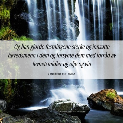 Picture 06 - 2 Krønikebok 11:11 NORSK - Og han gjorde festningene sterke og innsatte - Bible Verse Picture