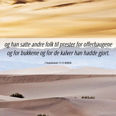 Picture 06 - 2 Krønikebok 11:15 NORSK - og han satte andre folk til prester for - Bible Verse Picture