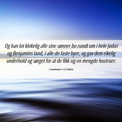 Picture 06 - 2 Krønikebok 11:23 NORSK - Og han lot klokelig alle sine sønner bo rundt om - Bible Verse Picture