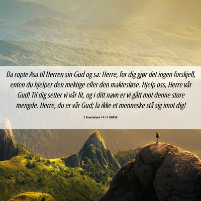 Picture 06 - 2 Krønikebok 14:11 NORSK - Da ropte Asa til Herren sin Gud og sa: Herre, for - Bible Verse Picture