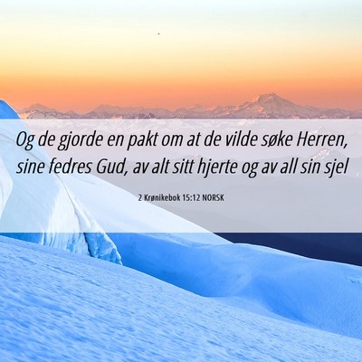 Picture 06 - 2 Krønikebok 15:12 NORSK - Og de gjorde en pakt om at de vilde søke Herren, - Bible Verse Picture