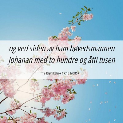 Picture 06 - 2 Krønikebok 17:15 NORSK - og ved siden av ham høvedsmannen Johanan med to - Bible Verse Picture