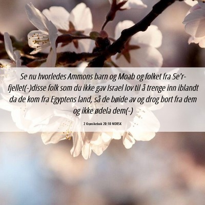 Picture 06 - 2 Krønikebok 20:10 NORSK - Se nu hvorledes Ammons barn og Moab og folket fra - Bible Verse Picture