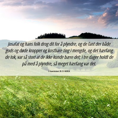 Picture 06 - 2 Krønikebok 20:25 NORSK - Josafat og hans folk drog dit for å plyndre, og - Bible Verse Picture