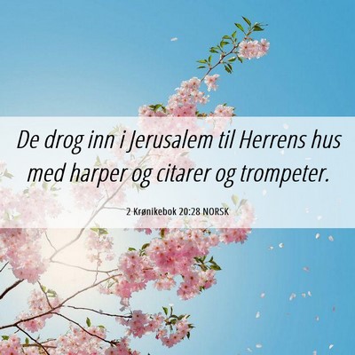 Picture 06 - 2 Krønikebok 20:28 NORSK - De drog inn i Jerusalem til Herrens hus med - Bible Verse Picture