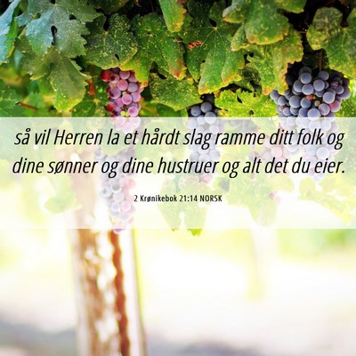 Picture 06 - 2 Krønikebok 21:14 NORSK - så vil Herren la et hårdt slag ramme ditt folk - Bible Verse Picture