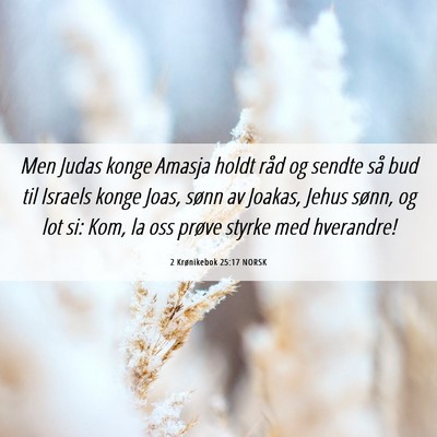 Picture 06 - 2 Krønikebok 25:17 NORSK - Men Judas konge Amasja holdt råd og sendte så - Bible Verse Picture
