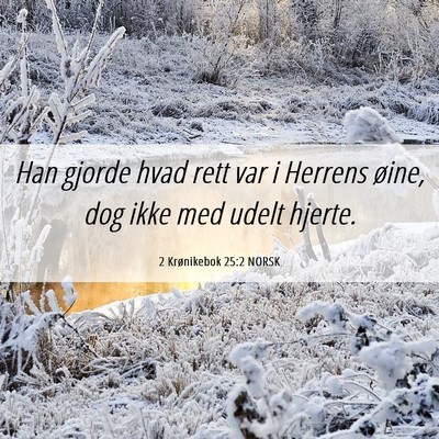 Picture 06 - 2 Krønikebok 25:2 NORSK - Han gjorde hvad rett var i Herrens øine, dog - Bible Verse Picture