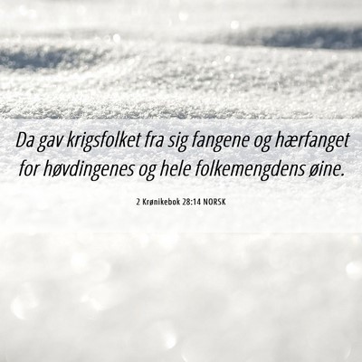 Picture 06 - 2 Krønikebok 28:14 NORSK - Da gav krigsfolket fra sig fangene og hærfanget - Bible Verse Picture