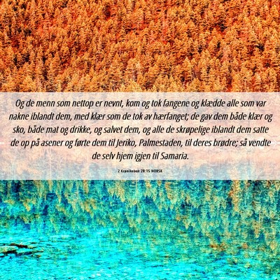 Picture 06 - 2 Krønikebok 28:15 NORSK - Og de menn som nettop er nevnt, kom og tok - Bible Verse Picture