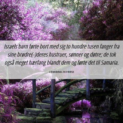 Picture 06 - 2 Krønikebok 28:8 NORSK - Israels barn førte bort med sig to hundre tusen - Bible Verse Picture