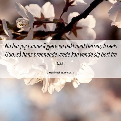 Picture 06 - 2 Krønikebok 29:10 NORSK - Nu har jeg i sinne å gjøre en pakt med Herren, - Bible Verse Picture