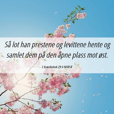 Picture 06 - 2 Krønikebok 29:4 NORSK - Så lot han prestene og levittene hente og samlet - Bible Verse Picture