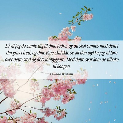 Picture 06 - 2 Krønikebok 34:28 NORSK - Så vil jeg da samle dig til dine fedre, og du - Bible Verse Picture