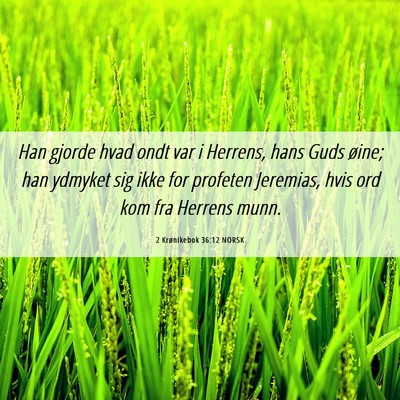 Picture 06 - 2 Krønikebok 36:12 NORSK - Han gjorde hvad ondt var i Herrens, hans Guds - Bible Verse Picture
